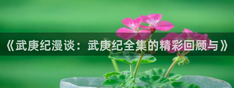 51漫画入口网站