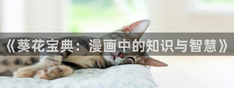 51漫画app免费