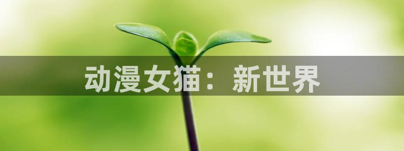 51漫画网站免费入口：动漫女猫：新世界