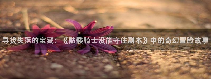 51漫画成人app入口：寻找失落的宝藏：《骷髅骑士没能守住副本》中的奇幻冒险故事